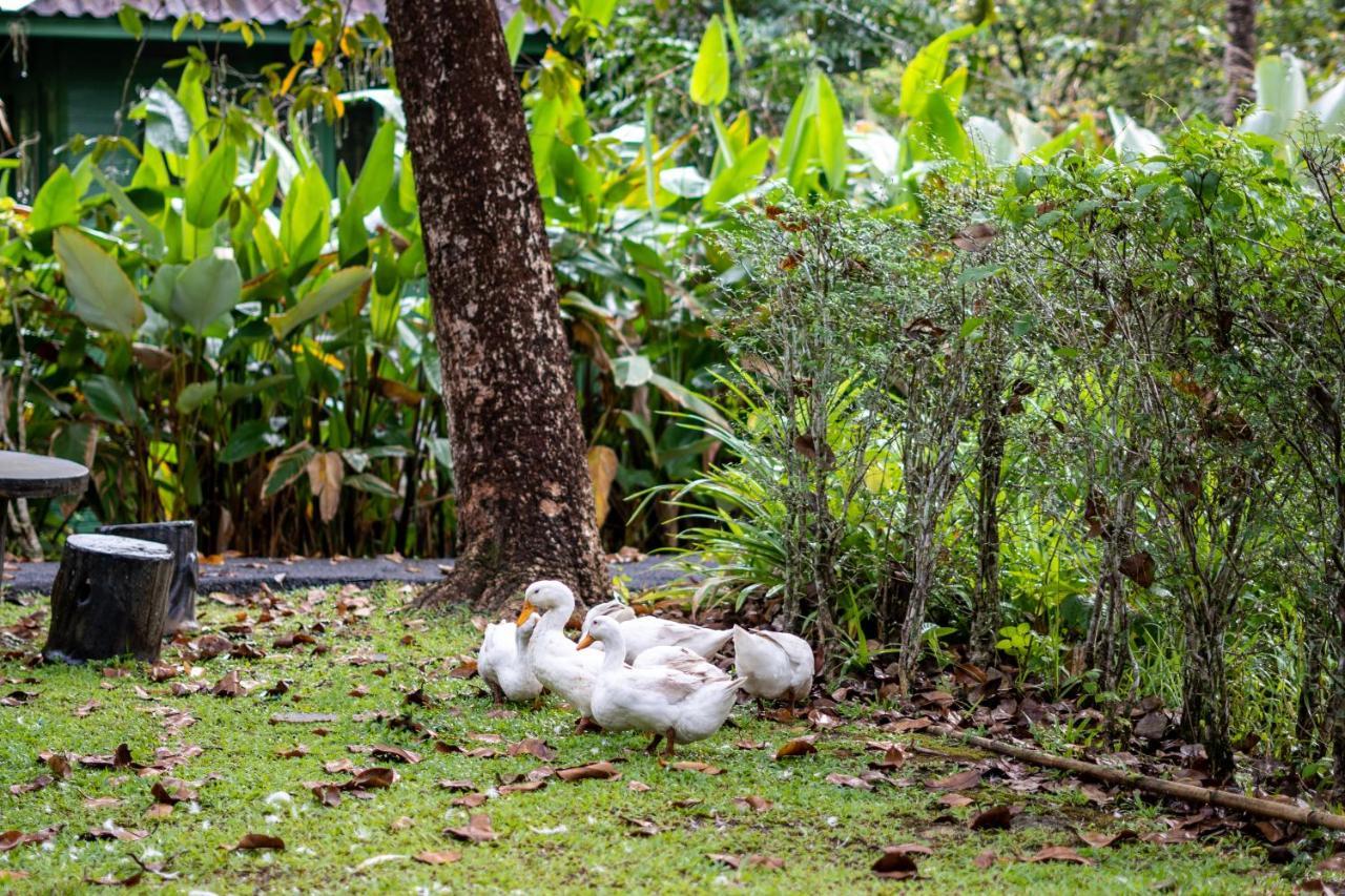 Blu Monkey Pooltara Krabi Hotel & Villas Pet Friendly Exteriér fotografie